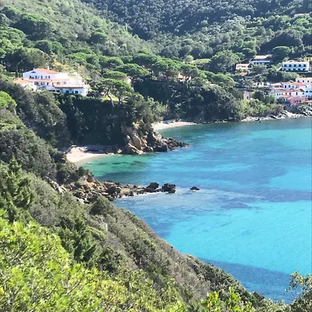 Viticcio