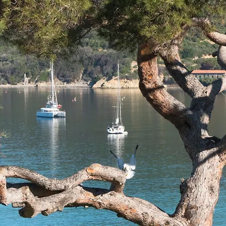 Viticcio Portoferraio