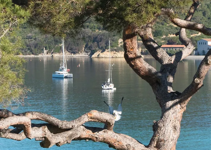 Viticcio Portoferraio